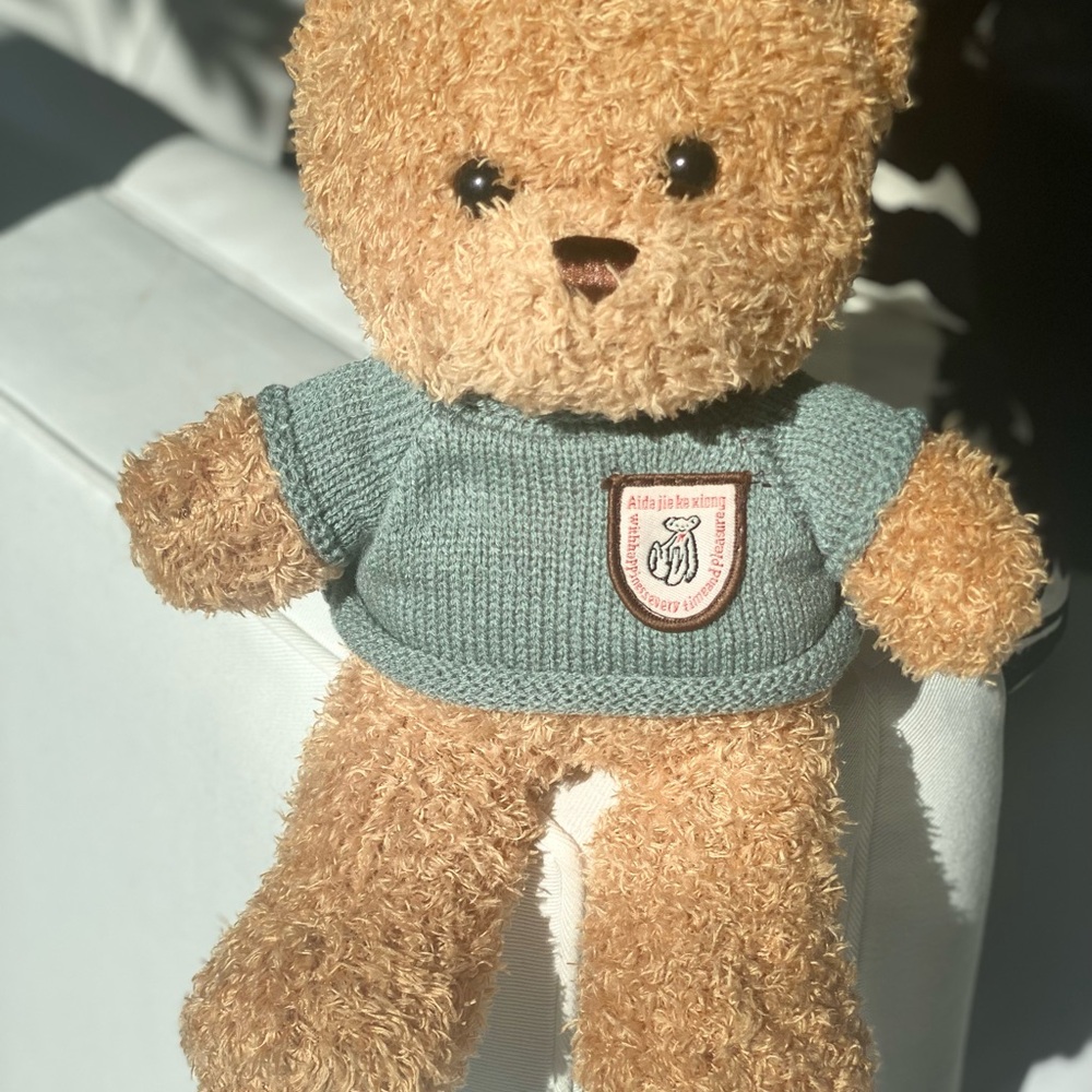 Adorable Brown Stuffed Bear with Green Sweater